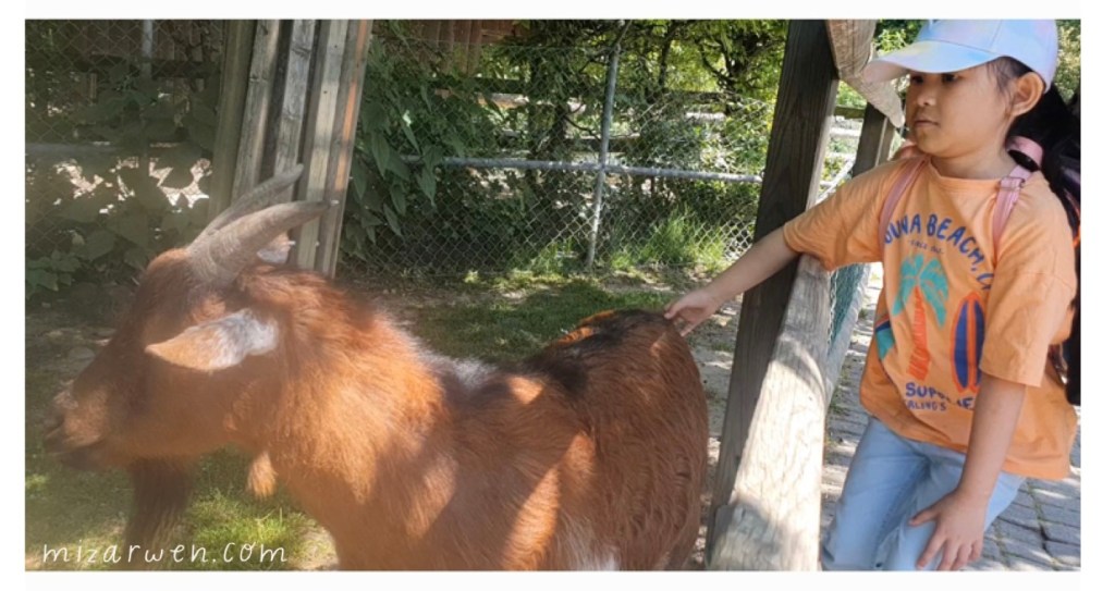 Daughter petting a goat animal park Bois-de-la-Batie Geneva mizarwen.com